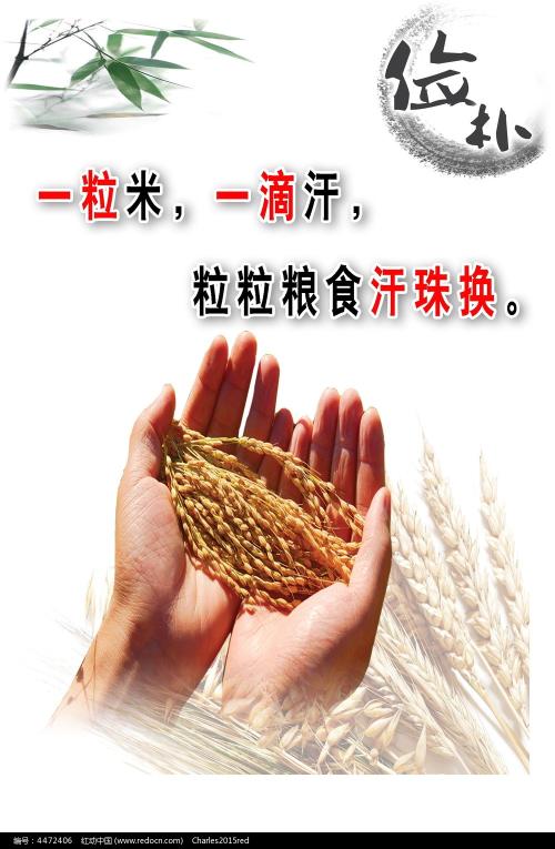 弗赖堡大学会计文凭证书
